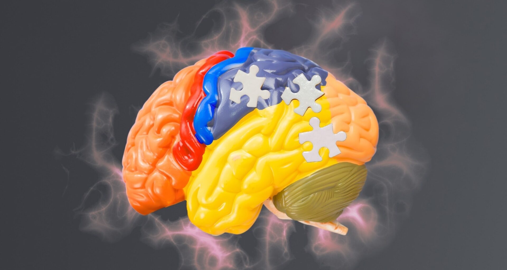 Why new Alzheimer’s drugs are dividing regulators worldwide