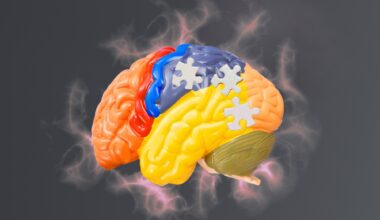 Why new Alzheimer’s drugs are dividing regulators worldwide