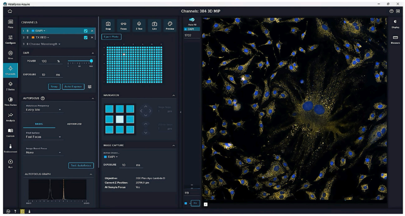 AI-driven high-content screening