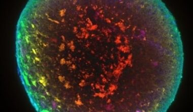 AI for Drug Discovery