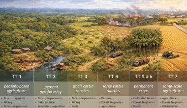 Study: Vector-borne disease co-occurrence is shaped by agrarian economy and socioenvironmental contexts in the Brazilian Amazon
