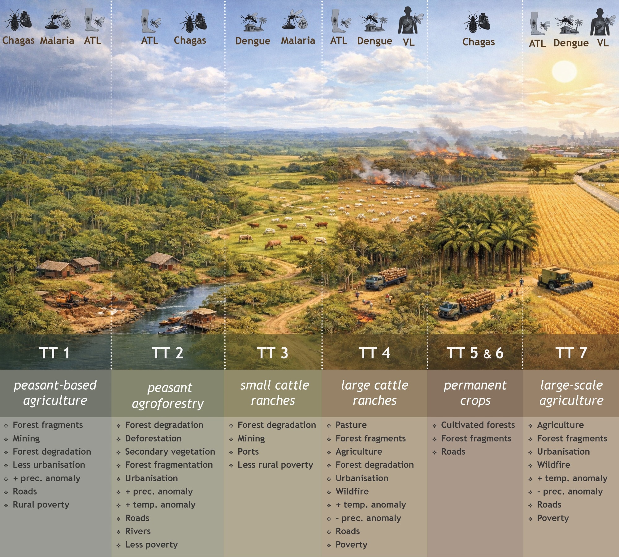 Study: Vector-borne disease co-occurrence is shaped by agrarian economy and socioenvironmental contexts in the Brazilian Amazon