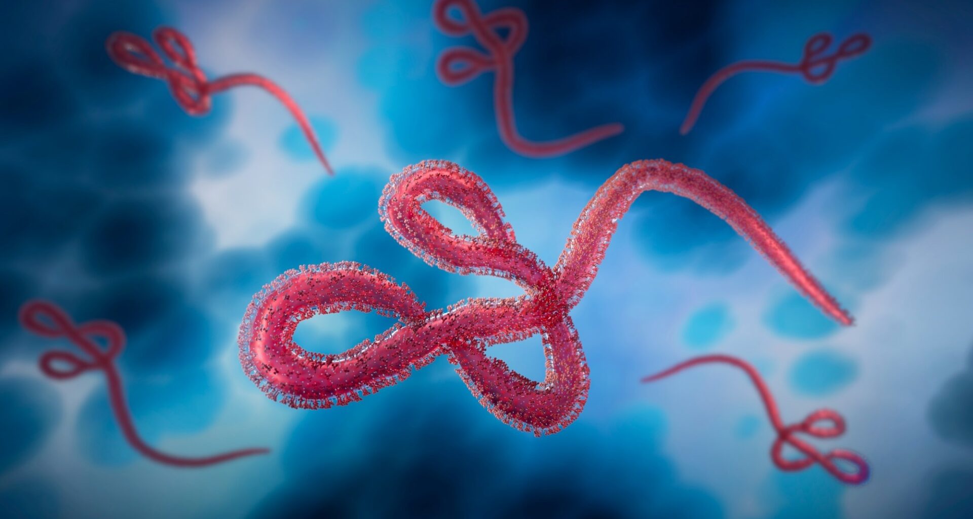 Rapid Communication: The risk of global Ebola virus spread is low: epidemiology of Ebola disease cases outside Africa, 1976 to May 2026. Image Credit: peterschreiber.media / Shutterstock