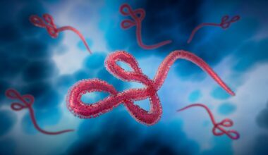 Rapid Communication: The risk of global Ebola virus spread is low: epidemiology of Ebola disease cases outside Africa, 1976 to May 2026. Image Credit: peterschreiber.media / Shutterstock