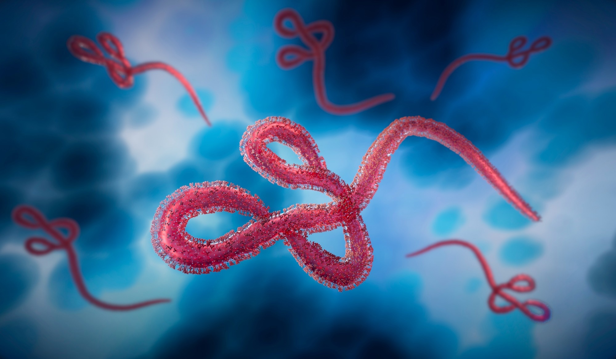 Rapid Communication: The risk of global Ebola virus spread is low: epidemiology of Ebola disease cases outside Africa, 1976 to May 2026. Image Credit: peterschreiber.media / Shutterstock