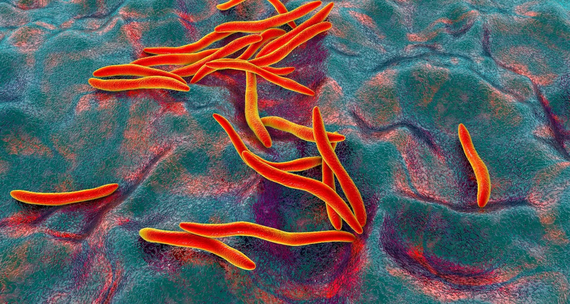 Study: Meta-analysis reveals microbiome signatures for colorectal cancer that are universal across age groups and sequencing methods. Image Credit: Kateryna Kon / Shutterstock