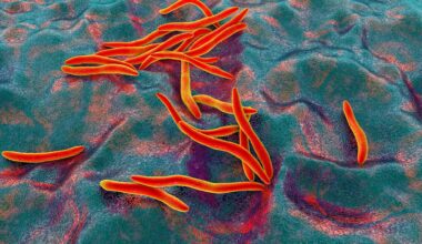 Study: Meta-analysis reveals microbiome signatures for colorectal cancer that are universal across age groups and sequencing methods. Image Credit: Kateryna Kon / Shutterstock