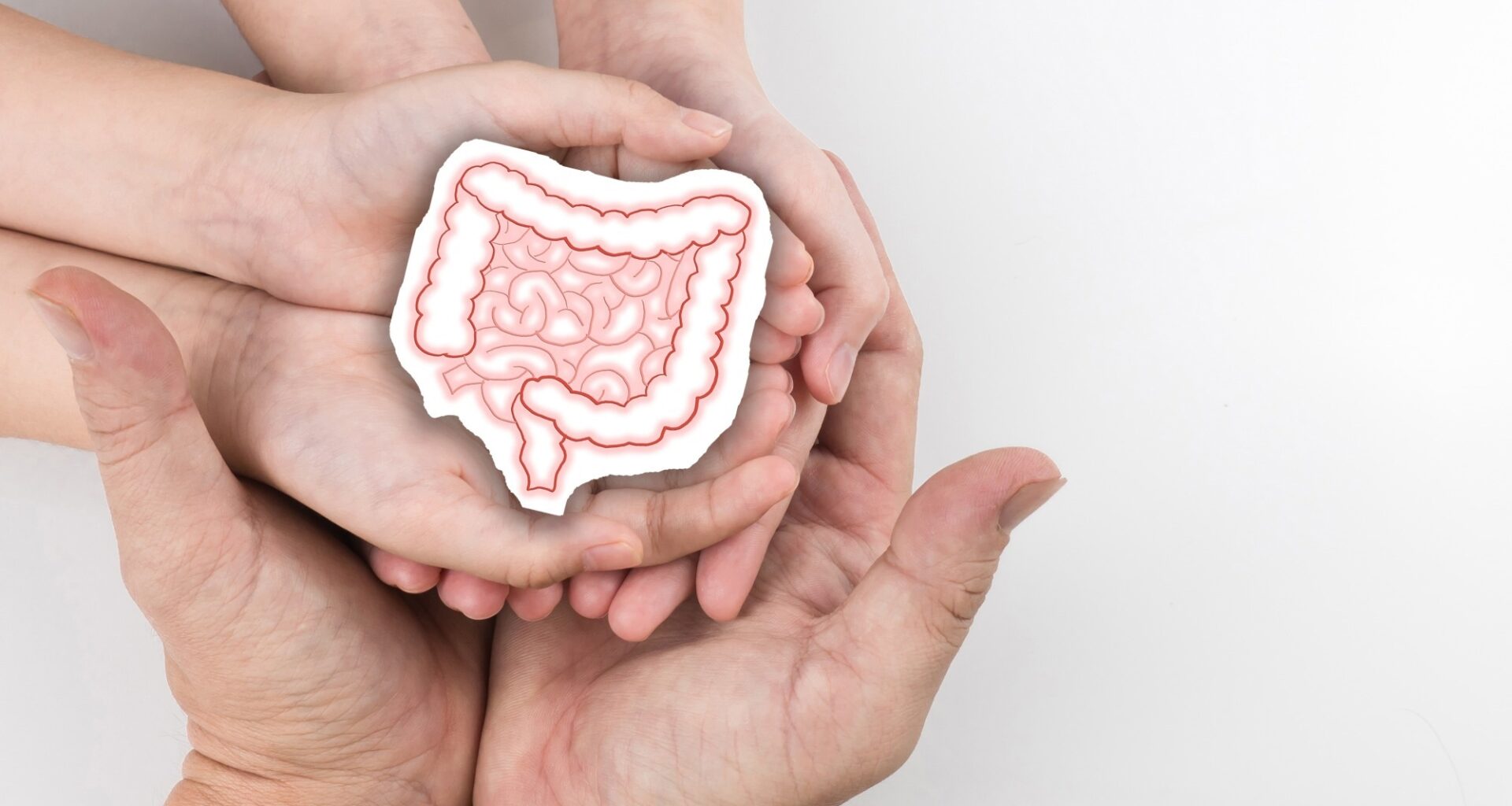Healthy large intestine holding hand adult and child family. Concept of intestinal disease treatment or colorectal cancer awareness.