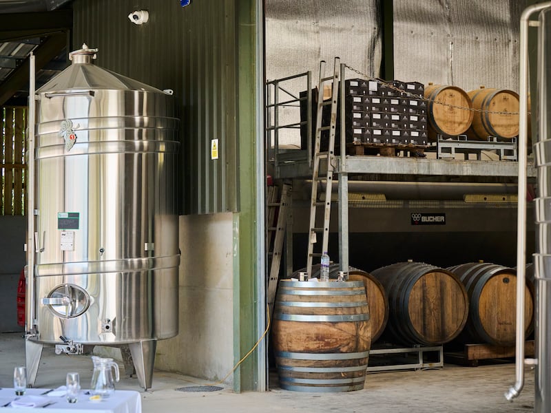 Most of the tanks and equipment at Sugrue South Downs were bought second hand from wineries that were closing all over Europe. Photograph: Sarah Weal