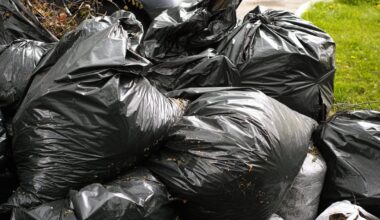 Neighbours’ garden waste is blocking the path outside my home – could I be sued? – The Irish Times