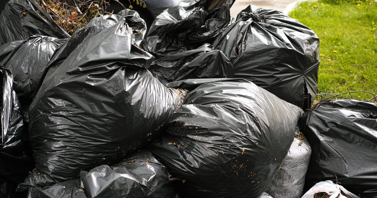 Neighbours’ garden waste is blocking the path outside my home – could I be sued? – The Irish Times