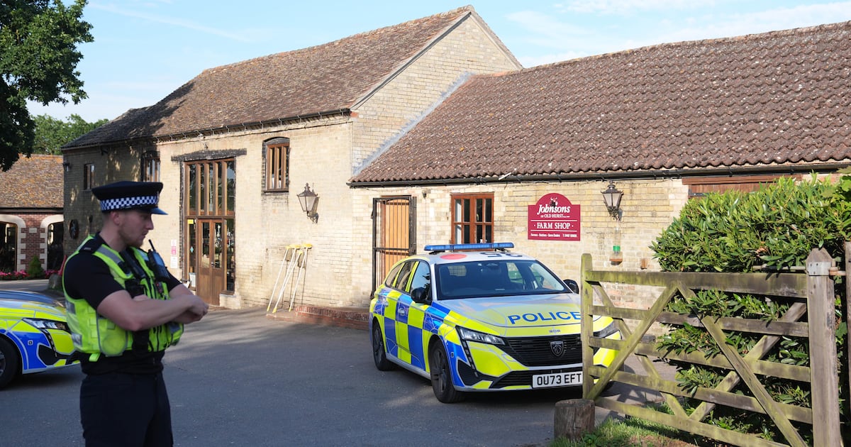 Attempted murder arrest after boy (3) ends up in crocodile enclosure at UK zoo – The Irish Times