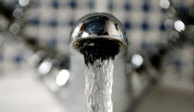 Department of Public Expenditure objected to adding 190 staff to energy and water regulator – The Irish Times