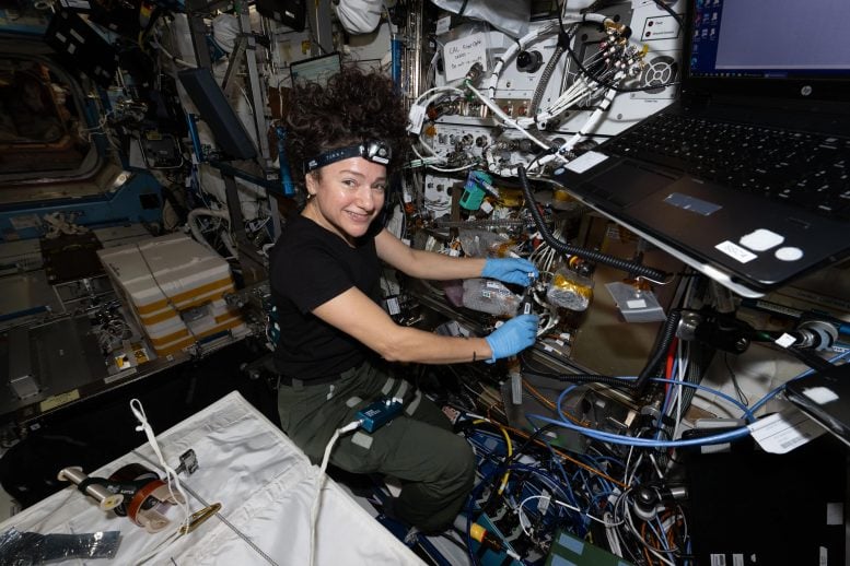 NASA Astronaut Jessica Meir Optical Fibers Cold Atom Lab
