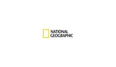 National Geographic’s Fin-Favorite Summer Event Returns With Even More Shark-Filled Fun, Kicking Off With Marquee Special HAMMERHEAD SHARKS UP CLOSE WITH BERTIE GREGORY