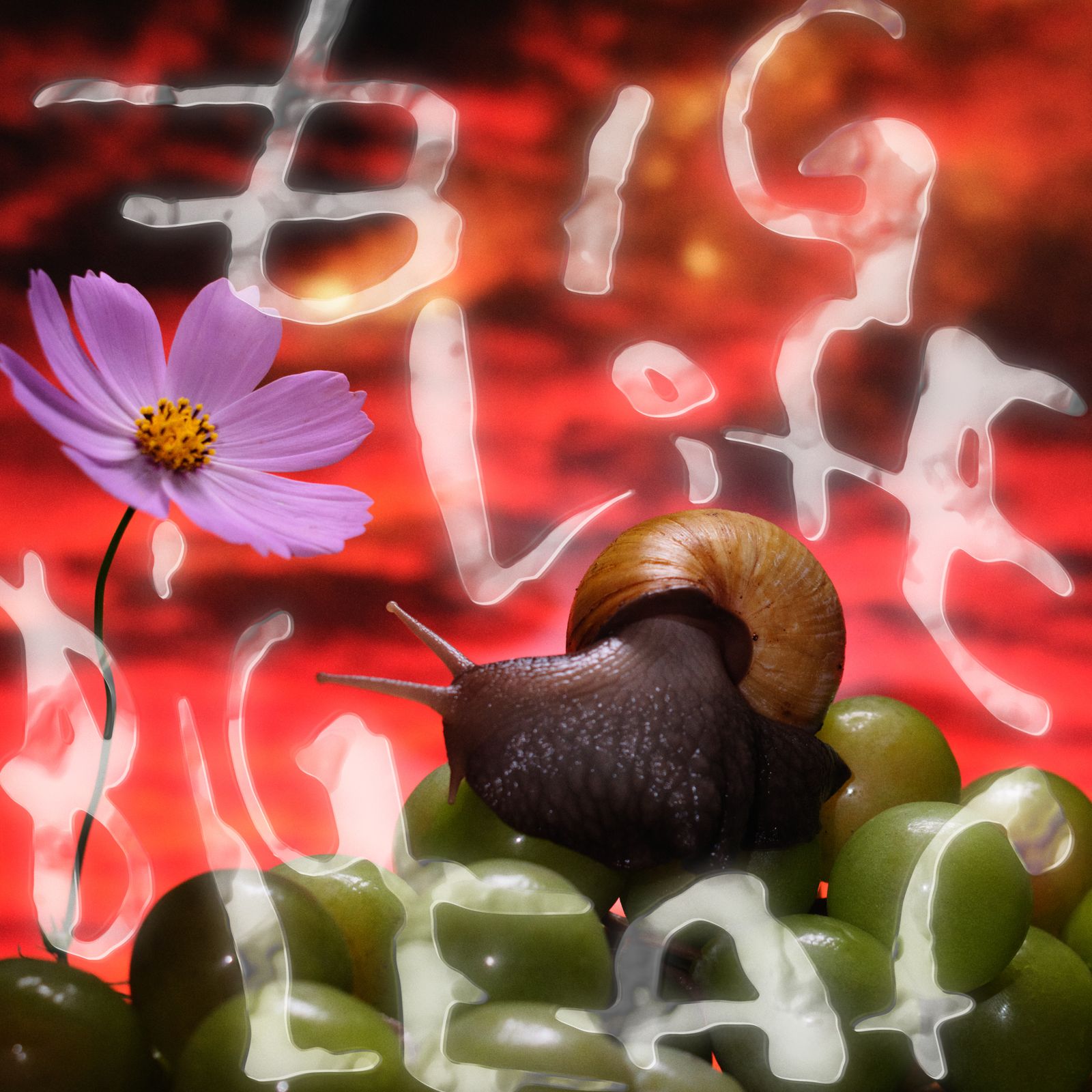 No Joy Big Life Big Leaf EP