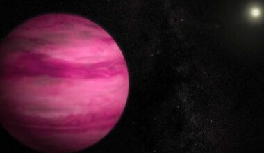 Large pinkish planet with banded clouds. Its yellowish sun is in the distance.