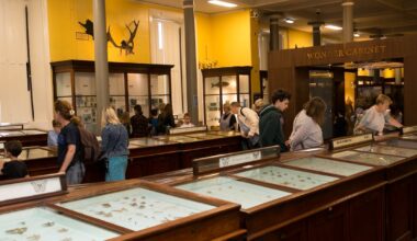 Natural History Museum reopening date and redevelopment costs still not clear – The Irish Times