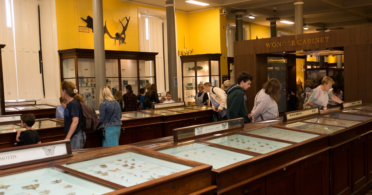 Natural History Museum reopening date and redevelopment costs still not clear – The Irish Times