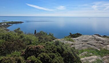 I saw Wales from Killiney Hill on a summer solstice Sunday morning – The Irish Times