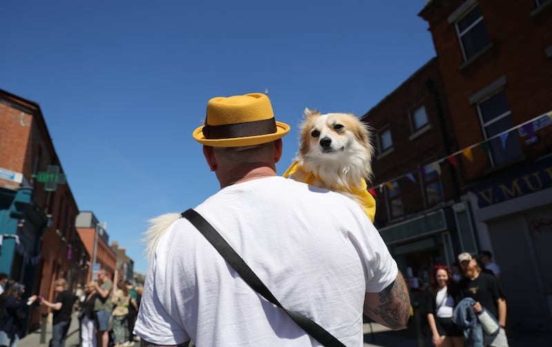Derek O'Sullivan. and 'Ollie' while competing in ‘Woofstock’ in Stoneybatter. Photo: Bryan O’Brien / The Irish Times