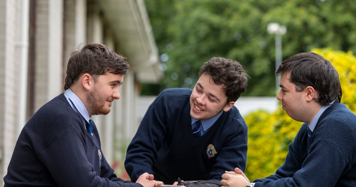 Leaving Cert maths, paper one: A song and dance about a bum note – The Irish Times