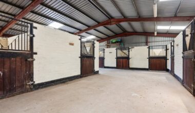Horse dealer ordered to pay stable worker more than €4,500 for employment rights breaches – The Irish Times