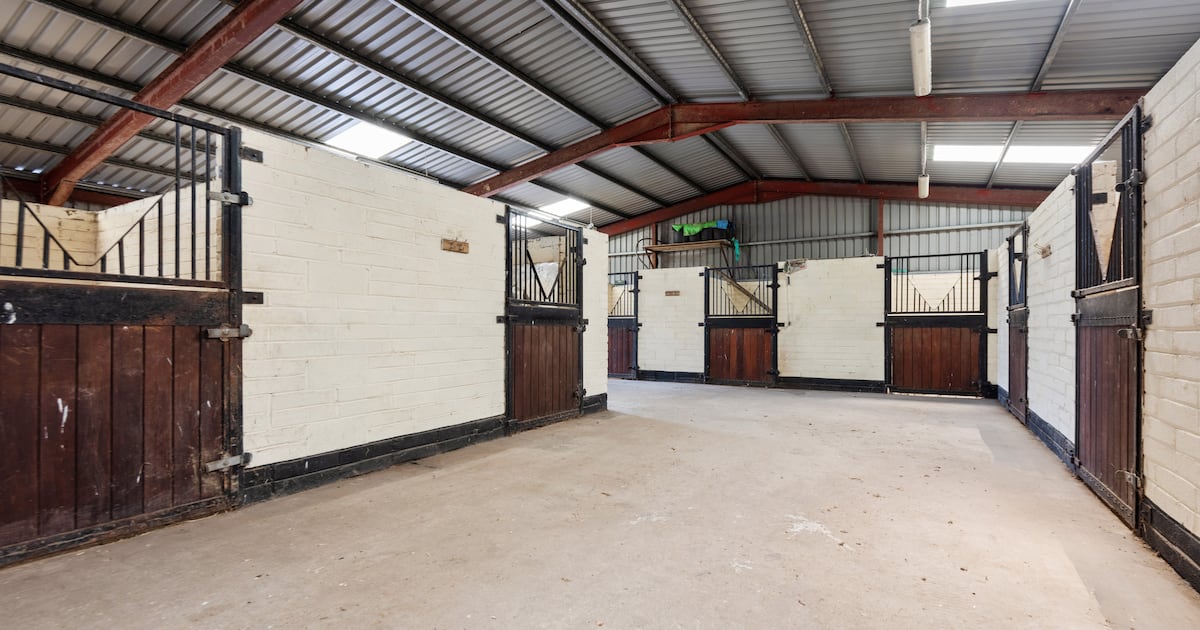 Horse dealer ordered to pay stable worker more than €4,500 for employment rights breaches – The Irish Times