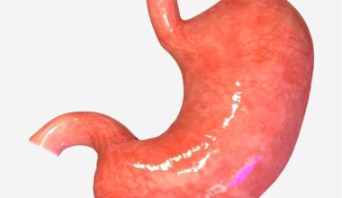 SickKids study uncovers cell recovery mechanisms linked to stomach cancer