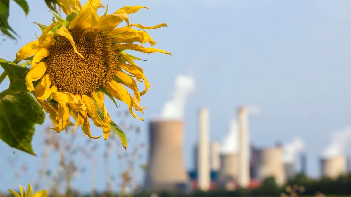 Humans Are Changing How Nature Smells, With Risks for Wildlife