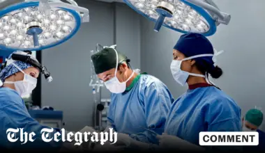 By attacking Palantir, MPs are putting politics above patients