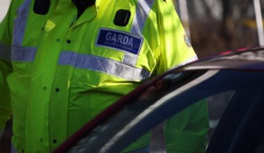 Garda fails in High Court bid to prevent dismissal over drink-driving conviction – The Irish Times