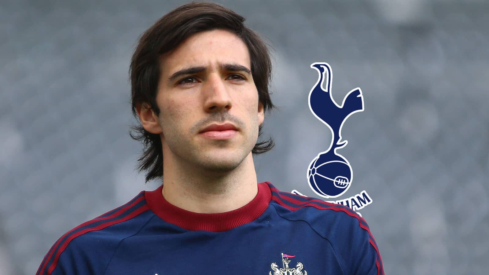 Newcastle United midfielder Sandro Tonali next to the Tottenham Hotspur badge - copyright TEAMtalk