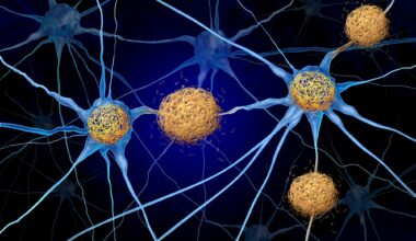 Tau Tangles Amyloid Beta Neuron Cells Brain Alzheimers Dementia
