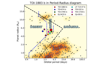 The Mass of TOI-1883 b: A Low Density Super-Neptune In The Ridge Regime Transiting An Early-M dwarf
