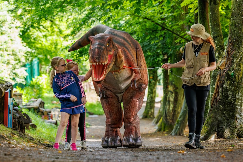 Dinosaur fun at Kilkenny's Newpark Hotel. Photograph: Dylan Vaughan