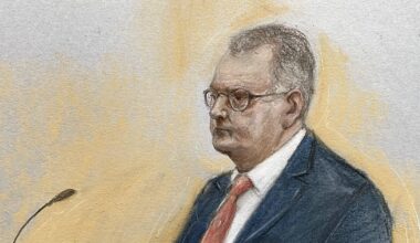 Jeffrey Donaldson says two women who accused him of sexual abuse are lying – The Irish Times