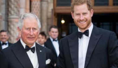 One King Charles Theory Is Gaining Traction After Big Prince Harry News