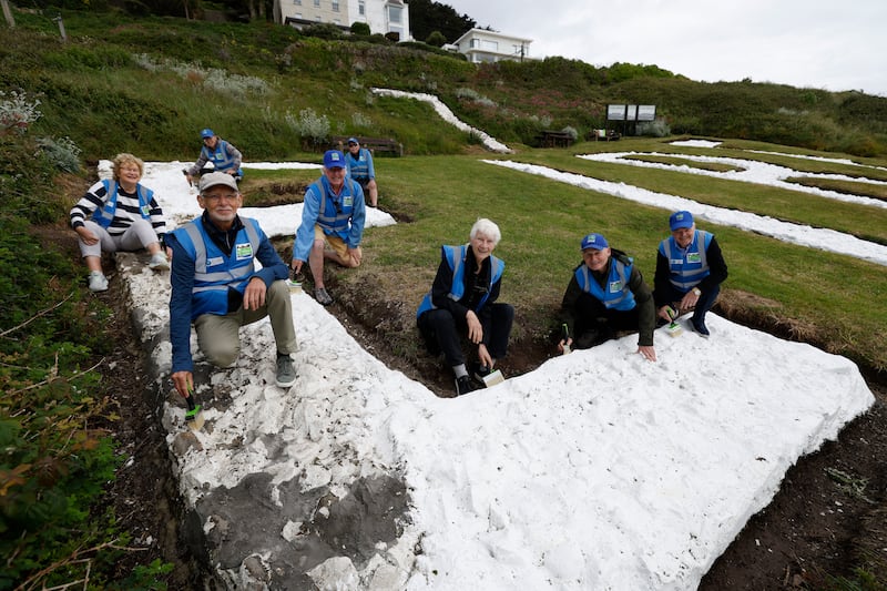 Dalkey TidyTowns members at the WWII "Éire 7" sign at Hawk Cliff. Photograph: Nick Bradshaw 