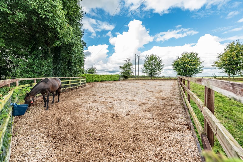 All-weather paddock
