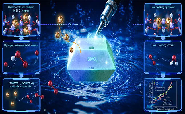 Scientists Visualize Water Oxidation on Single-Particle Catalysts----Chinese Academy of Sciences