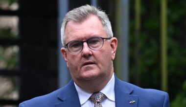 DUP announces independent review into fresh claims involving Jeffrey Donaldson – The Irish Times