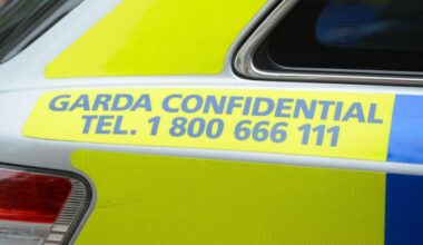 Swedish contract killer died in Limerick car crash en route to commit murder – The Irish Times