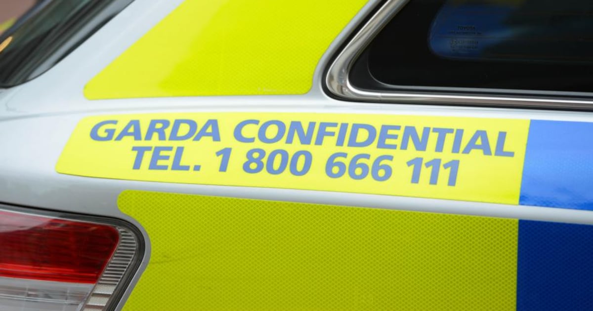 Swedish contract killer died in Limerick car crash en route to commit murder – The Irish Times