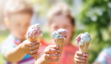 Ireland’s best ice-creams from makers that use Irish milk – The Irish Times