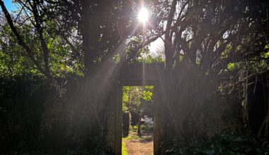 Weather warning as Ireland set for temperatures up to 30 degrees, Europe faces highs over 40 – The Irish Times