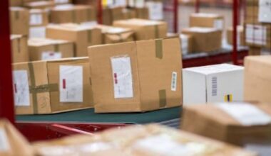 An Post chief joins call for EU to delay €3 customs charge for small parcels – The Irish Times