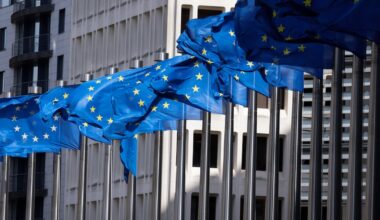 Ireland a hub for shell companies facilitating cross-border tax frauds, says EU prosecutor – The Irish Times