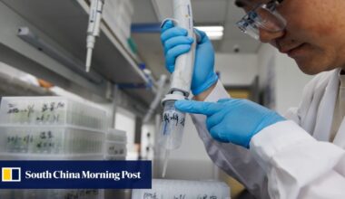 China orders central state-owned enterprises to double spending on basic research
