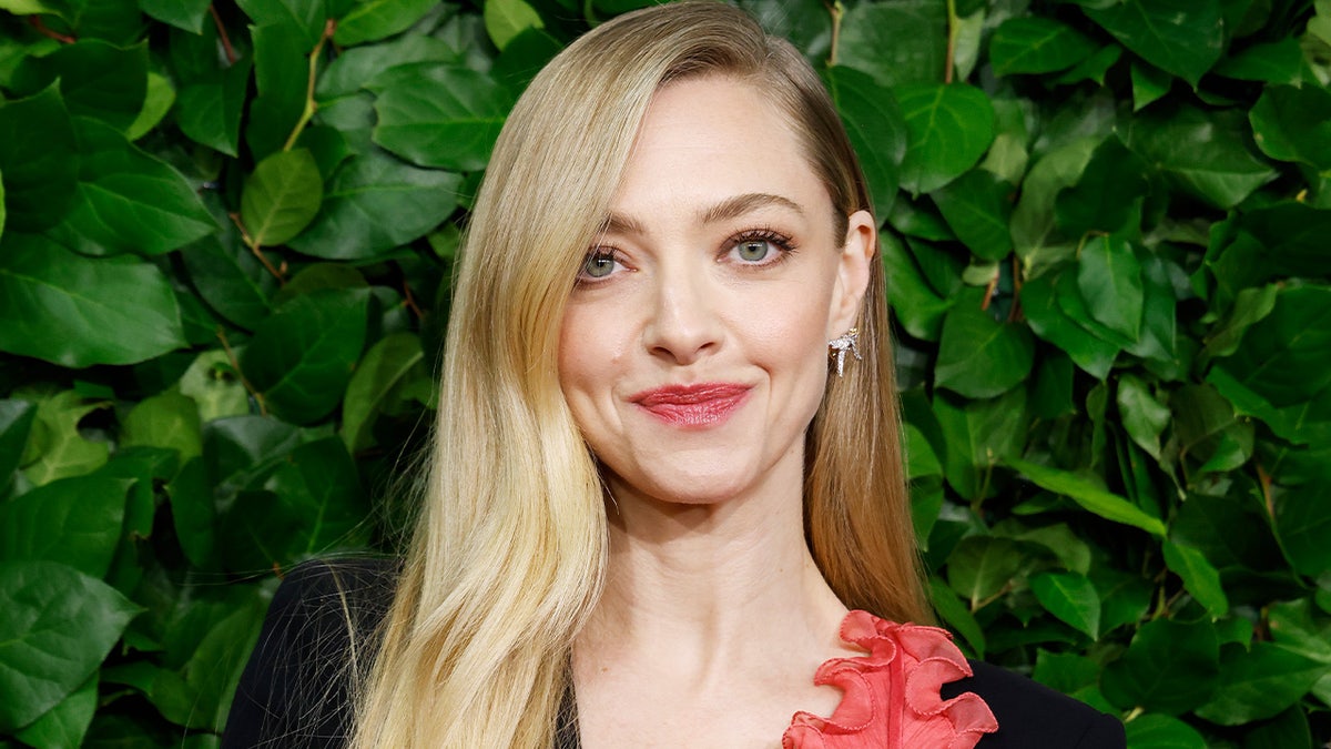 Amanda Seyfried